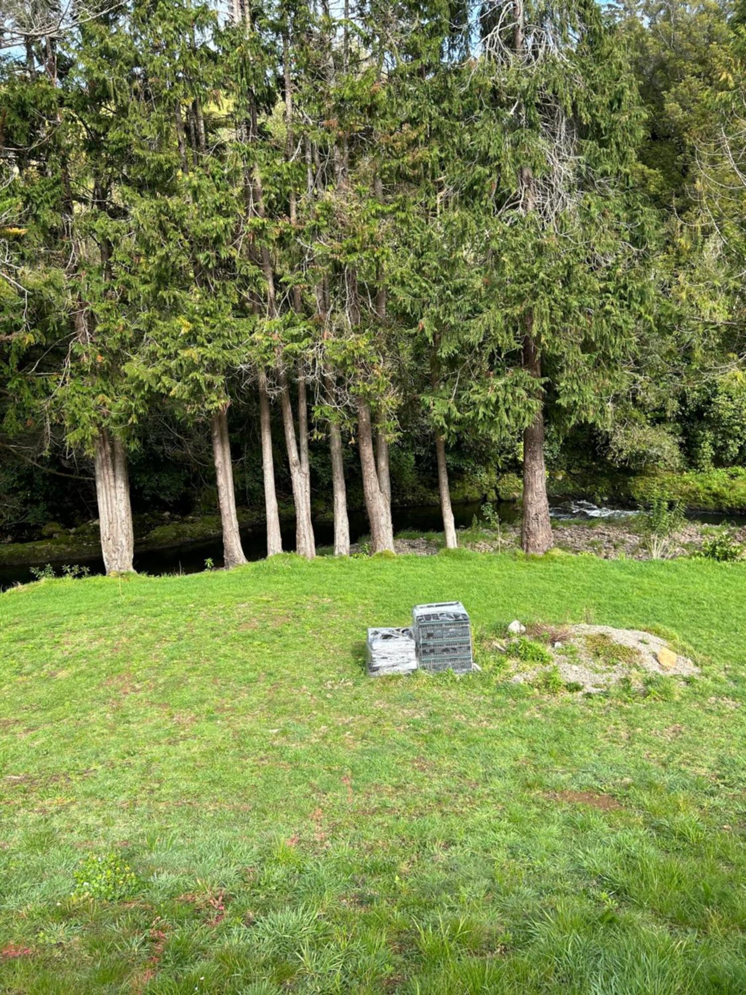Almost Heaven Bnb New Plymouth Bagian luar foto